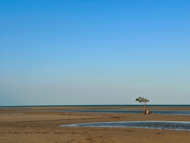 Photos: Numbulwar Coast, Gulf of Carpentaria, Alexandra Walker